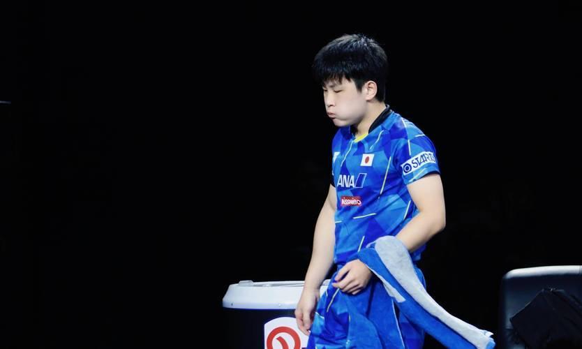 法国队险胜中国队,张本智和扛起全队的简单介绍 法国队险胜中国队,张本智和扛起全队的简单介绍