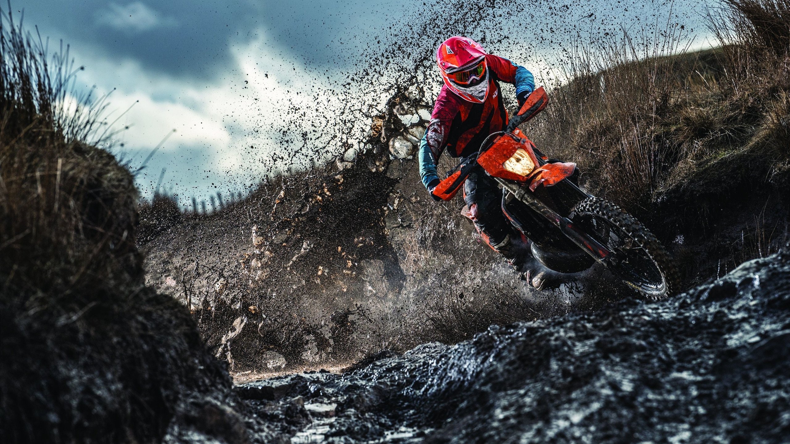 西亚卡姆点燃赛场，广东队强势拿下公牛