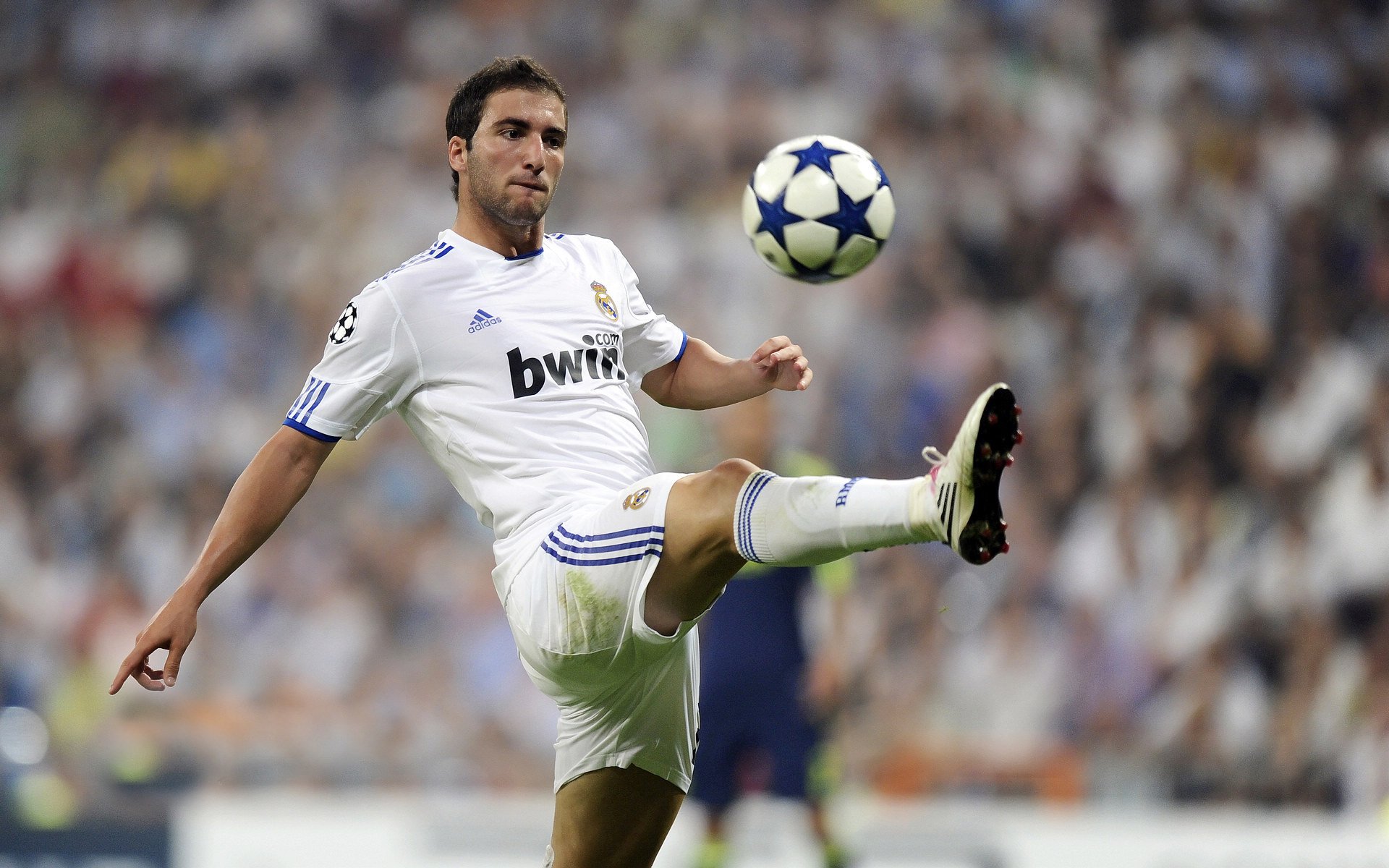 红牛车队碾压法拉利，诺里斯点燃赛场，新时代的F1方程式